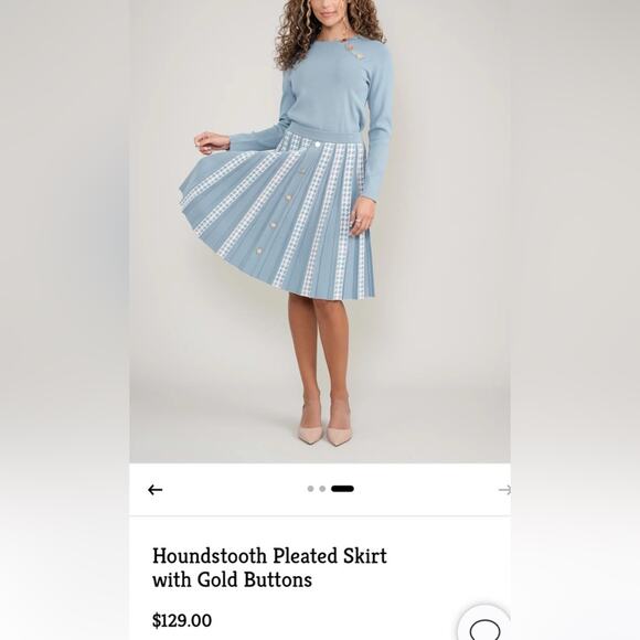 Aleeza Paris Pleated Blue A-Line Skirt NWT SM - Picture 6 of 7